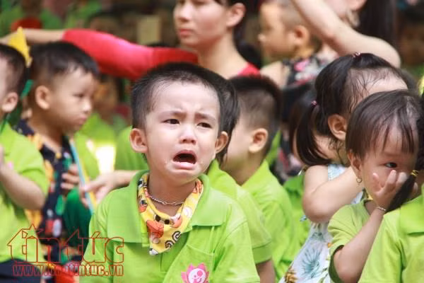 Bé mầm non lã chã nước mắt ngày đầu tiên khai giảng ảnh 6