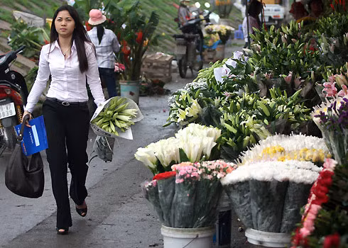 Mùa loa kèn xuống phố (Ảnh:Đất Việt)