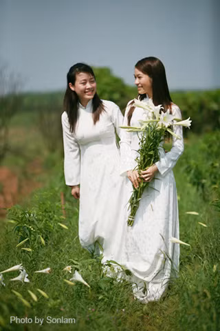 Còn các thiếu nữ e ấp tạo dáng bên hoa loa kèn