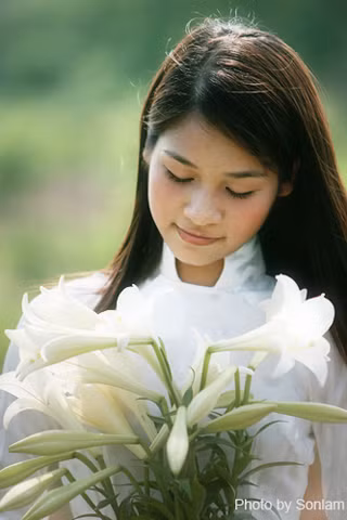 Còn các thiếu nữ e ấp tạo dáng bên hoa loa kèn