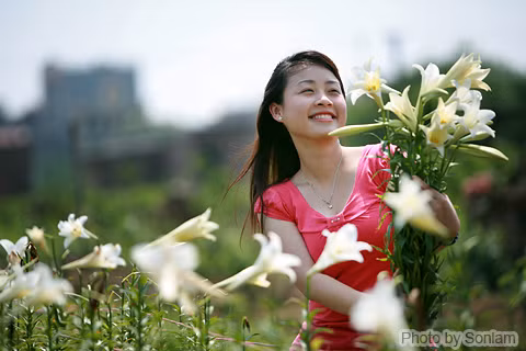 Còn các thiếu nữ e ấp tạo dáng bên hoa loa kèn