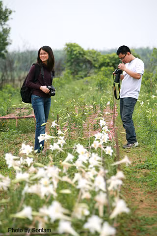 Dân nhiếp ảnh đua nhau sáng tác bên hoa