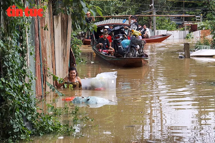 Nước sông Hồng dâng cao, người dân bãi giữa chạy đua với lũ