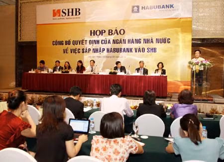 Sáp nhập, lối thoát cho ngân hàng yếu kém ảnh 1
