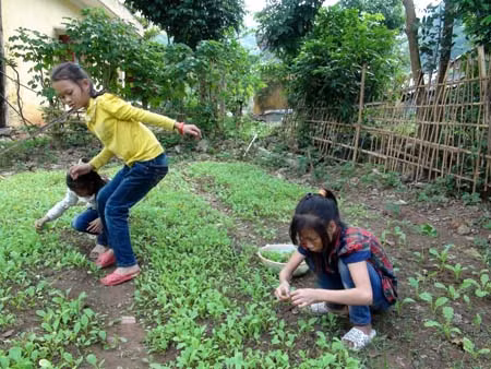 Thắp sáng ước mơ tới trường ở rẻo cao Đồng Nghê - Hòa Bình ảnh 1