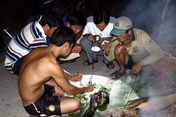 Thu hoạch cá về đêm ảnh 7