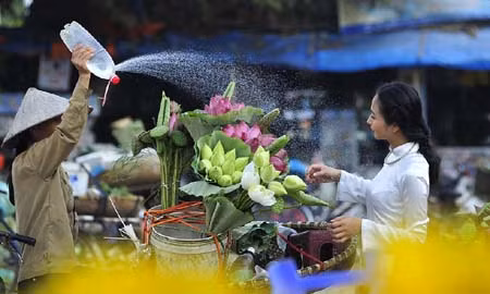 Cuộc thi ảnh nghệ thuật “Sen trong đời sống văn hóa Việt” ảnh 1