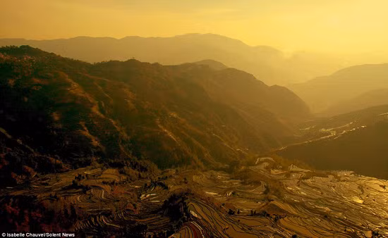 Ruộng bậc thang Vân Nam, Trung Quốc đẹp mê hồn ảnh 6