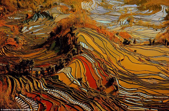 Ruộng bậc thang Vân Nam, Trung Quốc đẹp mê hồn ảnh 5
