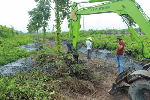 Chất thải độc hại trên Đại lộ Thăng Long ảnh 6