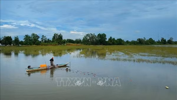 Mùa nước nổi và những giá trị phát triển cho Cần Thơ