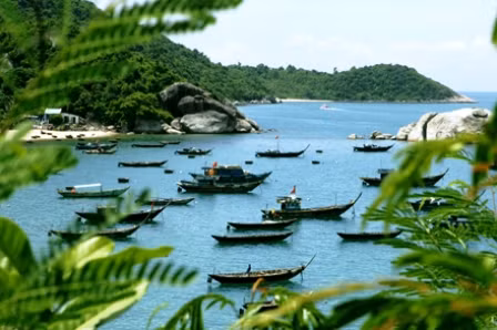 Bảo tồn Cù Lao Chàm: Người dân "vào cuộc" ảnh 2