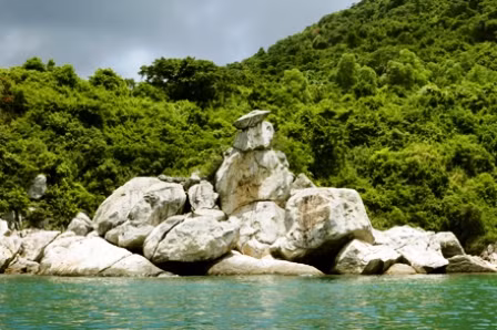 Bảo tồn Cù Lao Chàm: Người dân "vào cuộc" ảnh 3