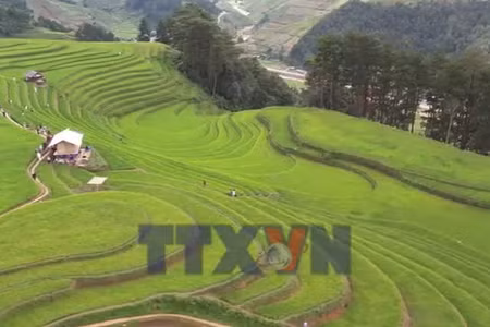 Những cung đường níu chân du khách ở Lào Cai