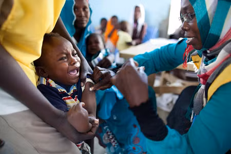WHO lo ngại về dịch sốt vàng da ở Sudan ảnh 1