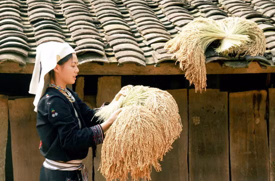 Những hình ảnh đẹp của phụ nữ vùng cao Tây Bắc ảnh 8
