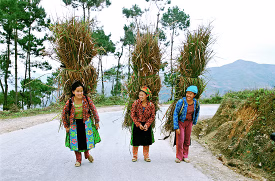 Những hình ảnh đẹp của phụ nữ vùng cao Tây Bắc ảnh 2