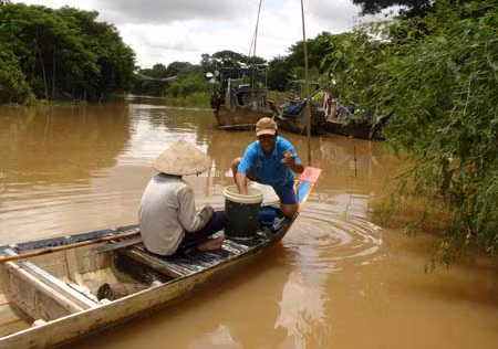 “Mùa vàng” từ con nước sông Tiền, sông Hậu - Bài cuối: Rộn ràng “trẩy hội” mùa nước nổi ảnh 2