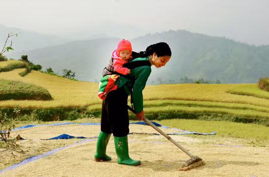 Những hình ảnh đẹp của phụ nữ vùng cao Tây Bắc ảnh 3