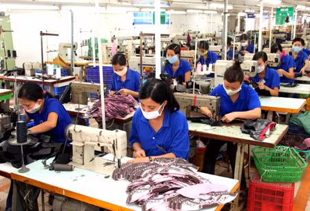 Việt Nam và Chile tăng cường giao thương ảnh 1