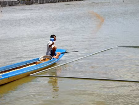 “Mùa vàng” từ con nước sông Tiền, sông Hậu - Bài 2: Tôm càng xanh phát triển mạnh trên đất ruộng ảnh 1