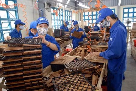 Chế biến gỗ hướng tới ngành công nghiệp mũi nhọn ảnh 1