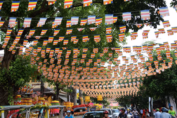 Cung rước xá lợi Phật chào mừng Phật đản 2015 ảnh 2
