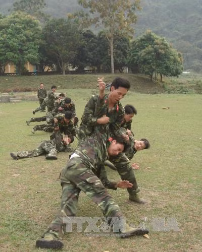 Lực lượng vũ trang Hà Giang sôi nổi mùa huấn luyện ảnh 5