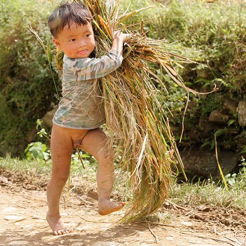 Niềm vui của trẻ em vùng cao ảnh 1