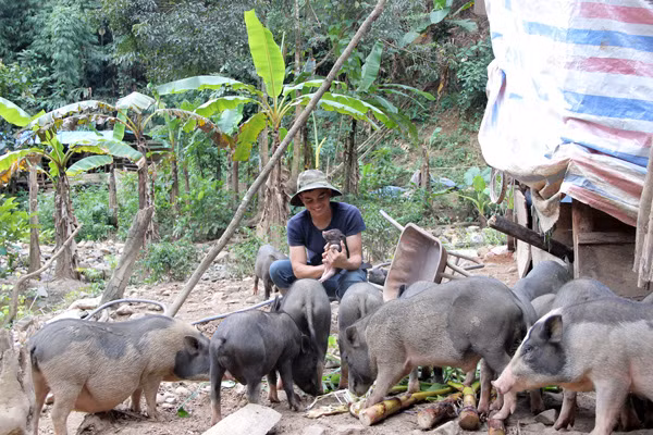Chú thích ảnh
