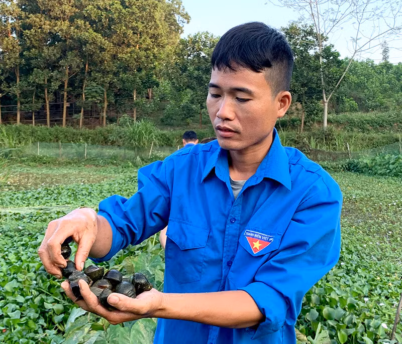 Chú thích ảnh