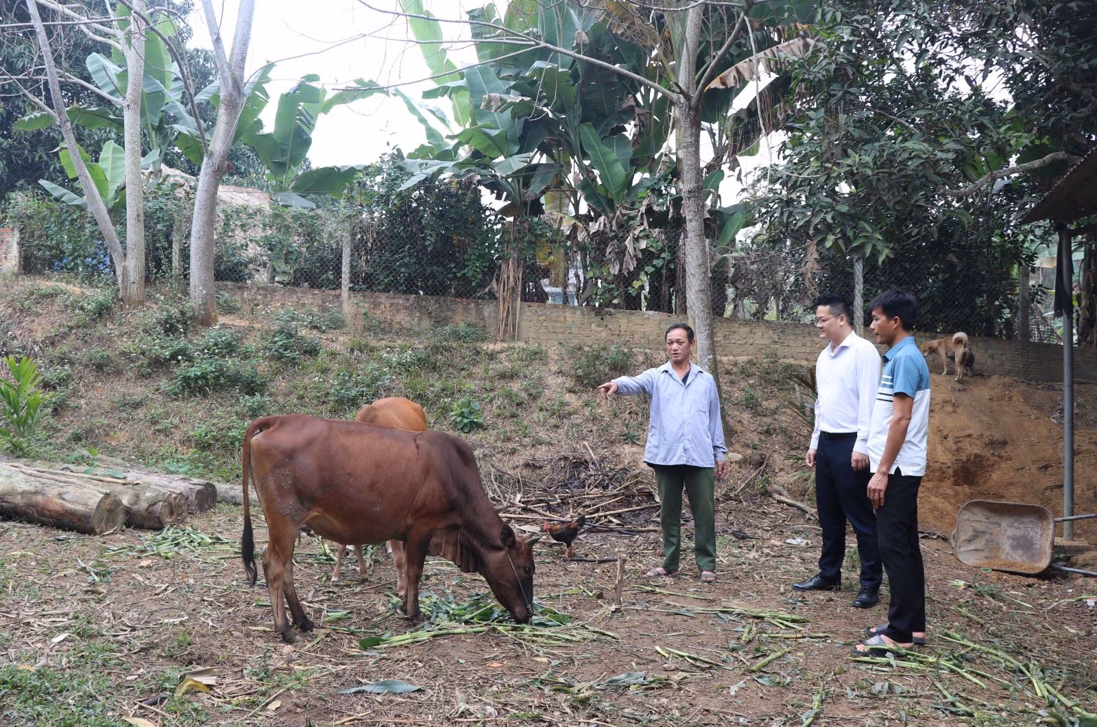 Chú thích ảnh