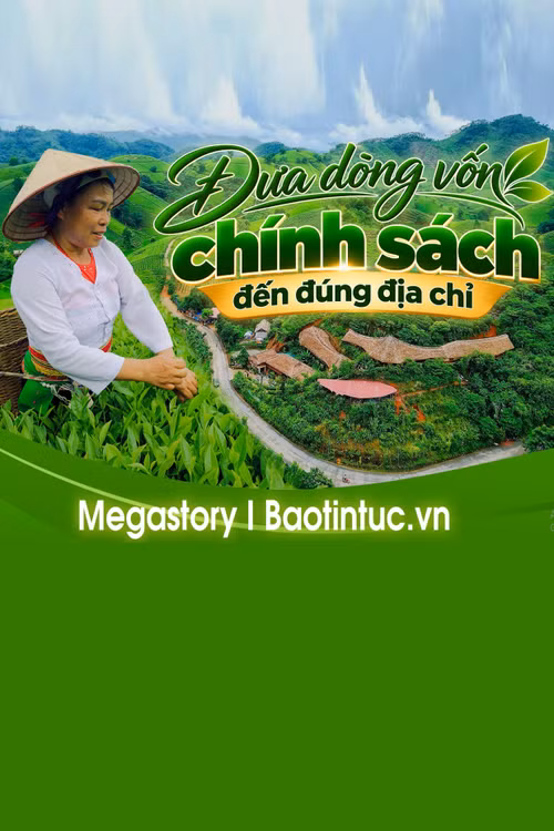 Đưa dòng vốn chính sách đến đúng địa chỉ
