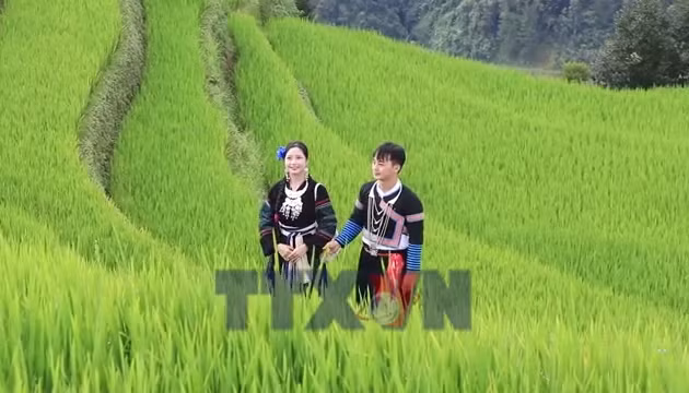 Lào Cai biến sắc màu văn hóa thành nguồn lực du lịch