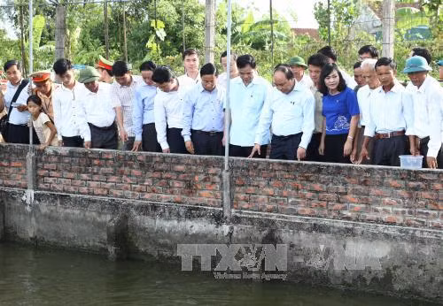 Thủ tướng thăm mô hình nông thôn mới tại Thạch Hà (Hà Tĩnh) ảnh 1