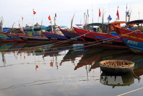 Miền Trung khẩn trương ứng phó với bão số 4 đang áp sát ảnh 2