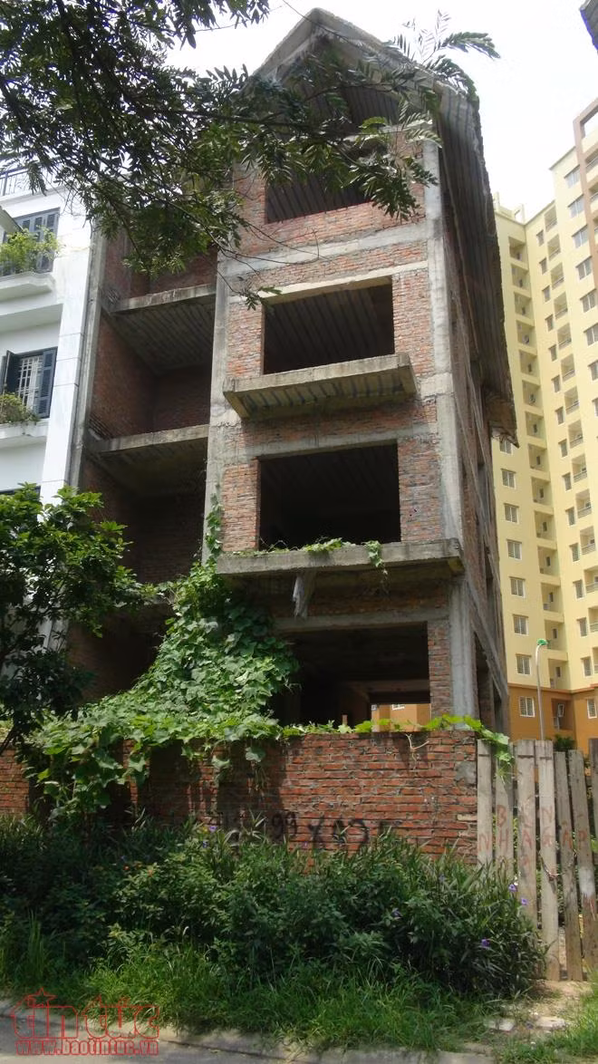 Dịch sốt xuất huyết bùng phát, người dân vẫn hồn nhiên 'nuôi' muỗi ảnh 14