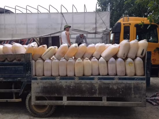 Tiêu hủy hơn 6 tấn mỡ lợn không rõ nguồn gốc ảnh 1