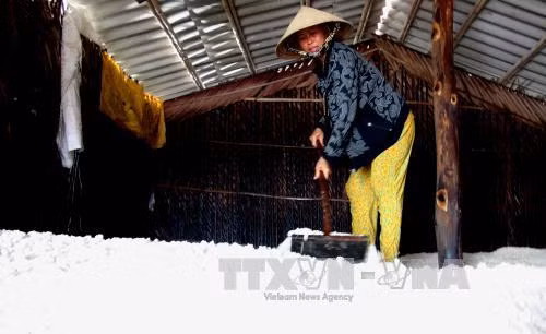 Diêm dân Bến Tre găm muối chờ giá tăng thêm ảnh 1
