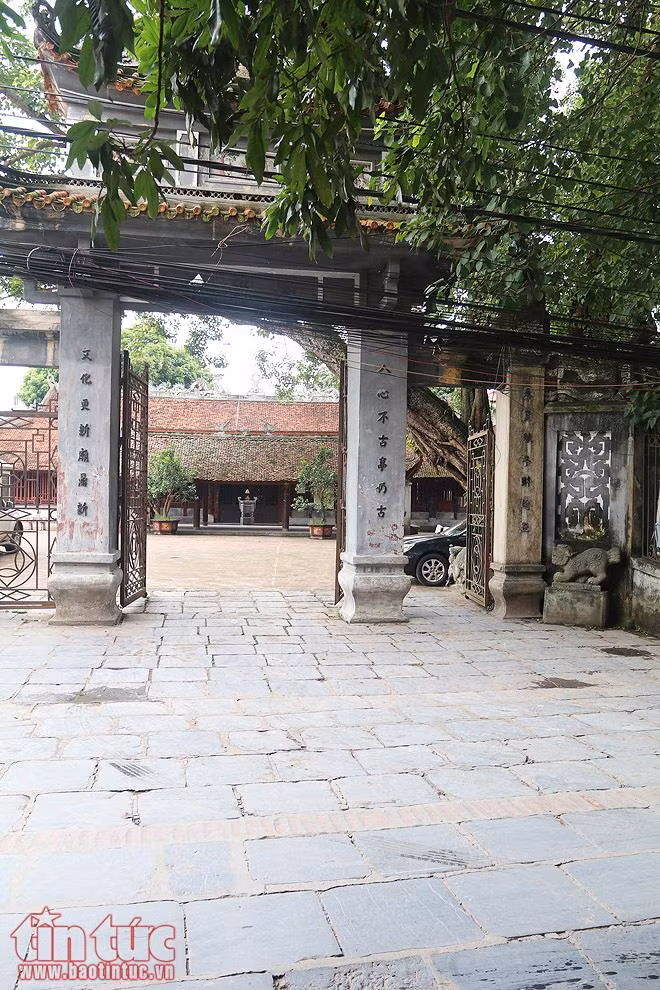 Con đường lát đá xanh độc đáo nhất Việt Nam ảnh 10