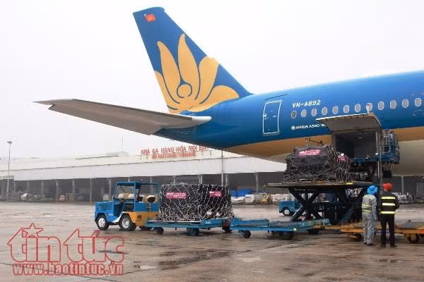Vietnam Airlines vận chuyển hơn 10,3 triệu lượt khách ảnh 1