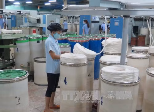 'Điểm nghẽn' của ngành dệt may Việt Nam - Bài cuối: Sớm tái cấu trúc ngành dệt may ảnh 1