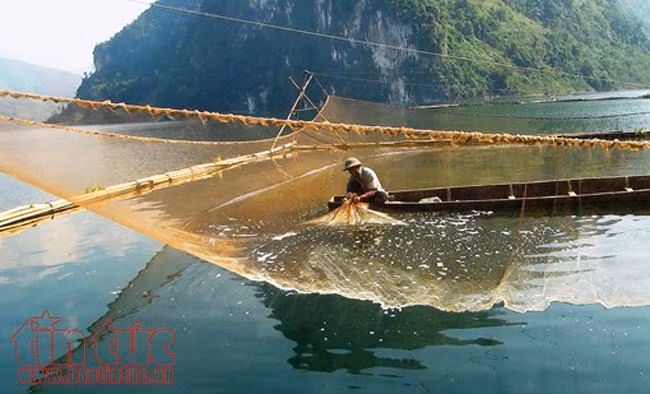 Đồng bào Dao nuôi trồng thủy sản trên lòng hồ sông Đà ảnh 6