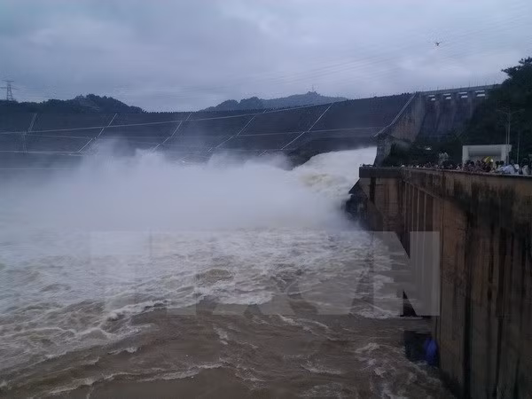  Hỗ trợ người dân bị thiệt hại 400 tấn cá chết do thủy điện xả lũ ảnh 1