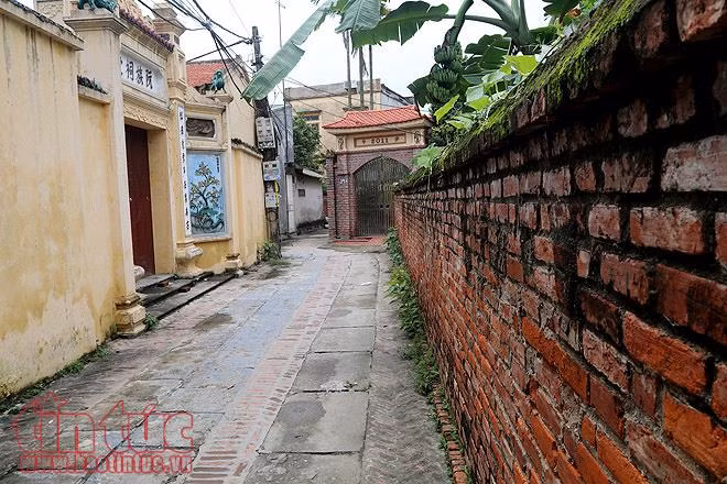 Con đường lát đá xanh độc đáo nhất Việt Nam ảnh 13