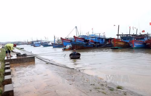 Hơn 400 tàu thuyền của Quảng Trị đã vào khu neo đậu an toàn để tránh báo ảnh 2