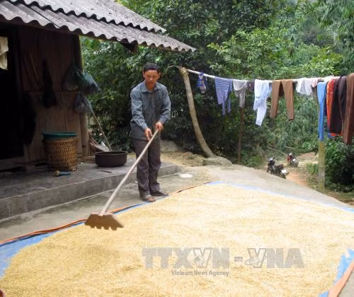 Kinh nghiệm phát triển đảng ở vùng cao ảnh 1