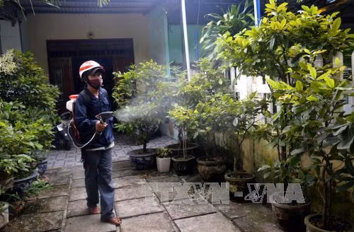Đà Nẵng đẩy mạnh tuyên truyền phòng chống sốt xuất huyết ảnh 2