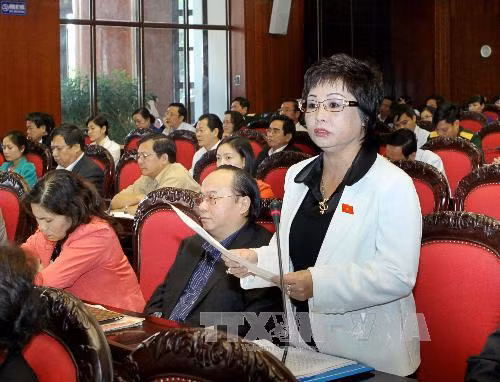 Kiểm điểm các sở ngành liên quan sai phạm của bà Châu Thị Thu Nga ảnh 1