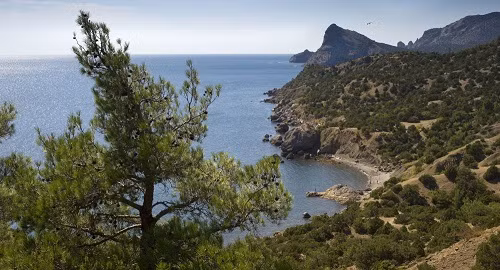 Sau 10 năm sẽ có Thế vận hội ở Crimea ảnh 1